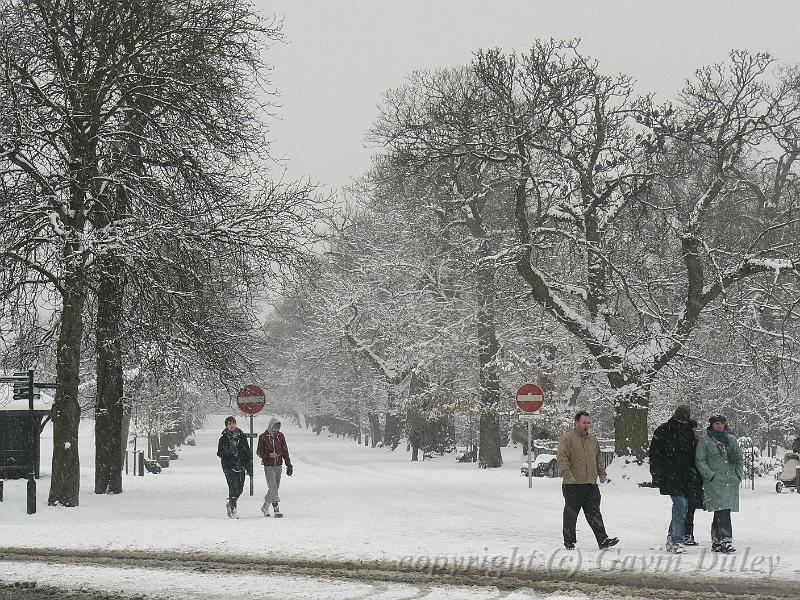 Snow, Greenwich Park P1070172.JPG